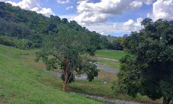 Imagem 4: Roça com Platanção de Cacau, 02 nascentes, com 52.272m² em Jiquiriçá