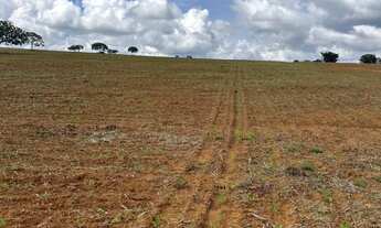 Imagem 6: Fazendinha altitude pra café patrocínio Minas Gerais
