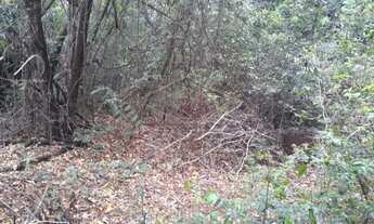 Imagem 6: Terreno Padrão em Bauru