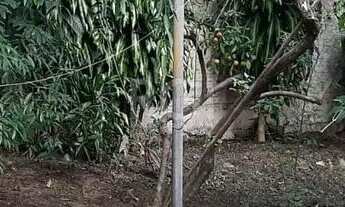 Imagem 4: CASA EM 2 TERRENOS NO BAIRRO MEDIANEIRA