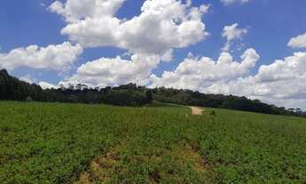 Imagem 5: Invista em Cotia Lotes com Alto Potencial de Valorização