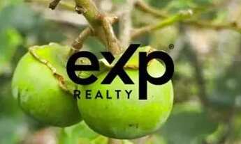 Imagem 3: OTIMA CASA DE CAMPO QUITANDINHA