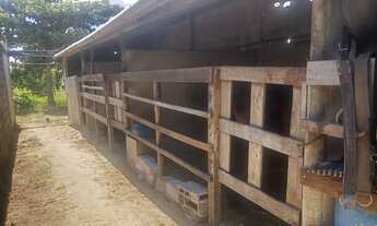 Imagem 6: Baia para cavalo