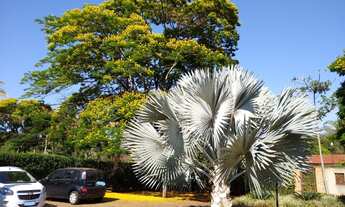 Imagem 4: Casa em Condomínio à venda, 3 quartos, 3 suítes, Estância Beira Rio - Jardinópolis/SP