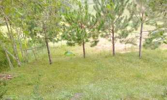 Imagem 5: A Maior Imobiliária Rural do Vale do Paraíba! - Cód ST00134