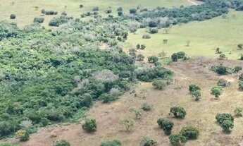 Imagem 6: Fazenda/Sítio/Chácara para venda possui 640 metros quadrados com 4 quartos em Centro - Son