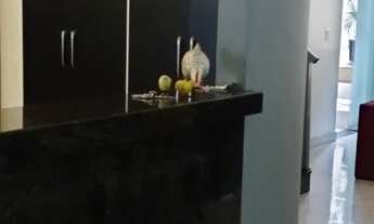 Imagem 6: Casa geminada em Sapucaias III - Contagem