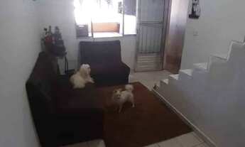 Imagem 6: Casa para venda Chácara Santana - São Paulo - SP