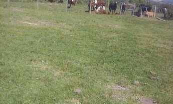 Imagem: Fazenda Porteira fechada ( AR 2749