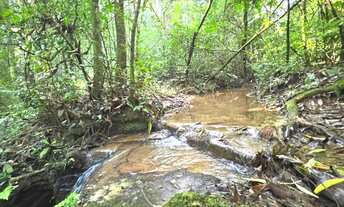 Imagem 2: IMAGINE-SE NESTE SÍTIO COM RIACHO