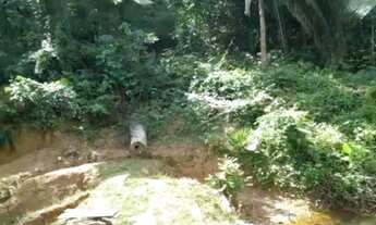 Imagem 3: Chácara em Cariacica