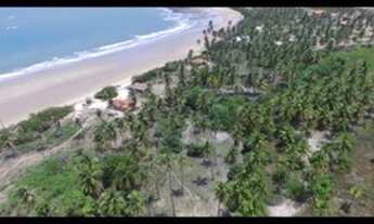 Imagem 3: Terreno praia da baleia itapipoca bera mar