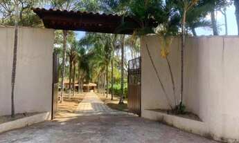 Imagem 5: Fazenda/Sítio/Chácara para venda tem 5000 metros quadrados com 4 quartos