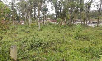 Imagem 6: Vendo sítio em Pirabeiraba