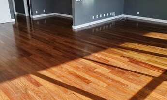 Imagem 2: Apartamento para venda com 316 metros quadrados com 4 quartos em Agronômica - Florianópoli