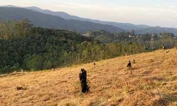 Imagem 4: Lote/Terreno para venda com 1000 metros quadrados em Centro - Mairiporã - SP