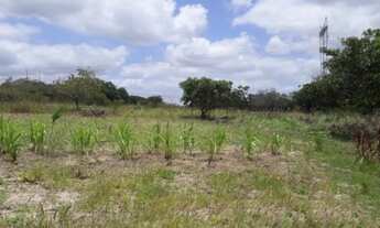 Imagem 4: V) Vende-se Fazenda de gado próximo a Buerarema