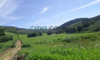 Imagem 4: EXTRAORDINÁRIA FAZENDINHA DE 39 HA COM BELA ESTRUTURA E LOCALIZAÇÃO EM J DE FORA