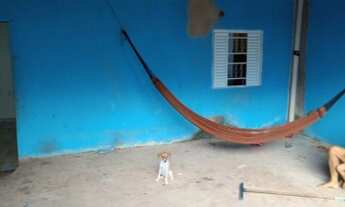 Imagem 5: Casa a Venda Casa com 2 dormitórios