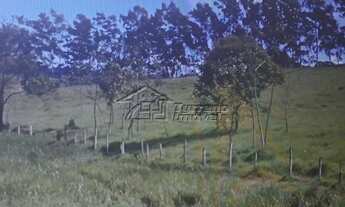 Imagem 3: Área em São José dos Campos - Próximo à Rodovia Presidente Dutra