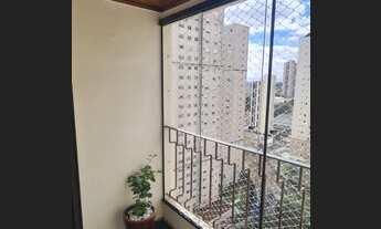Imagem 4: Apartamento para venda com 55 metros quadrados com 2 quartos em Vila Mascote - São Paulo