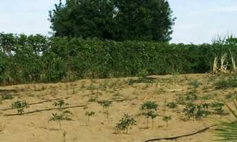 Imagem 3: Sítio medindo 4.000m2 próximo ao Haras Camping Club