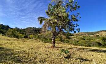 Imagem: 11 alqueires em Rubiataba-go