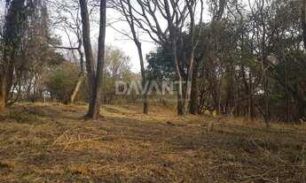 Imagem 4: Terreno - Joaquim Egídio - Campinas