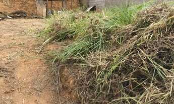 Imagem 5: Venda de terreno em Além Paraíba-MG 291m²