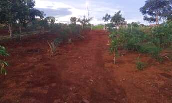 Imagem 7: Chácara Jardim São José