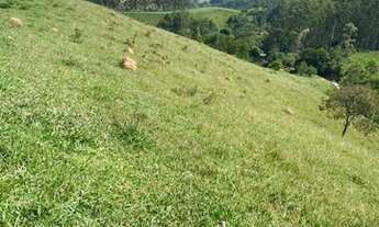 Imagem 7: Mega promoção chácaras de 5000m² por apenas R$ 60.000,00 mil reais à vista parcelamos tam