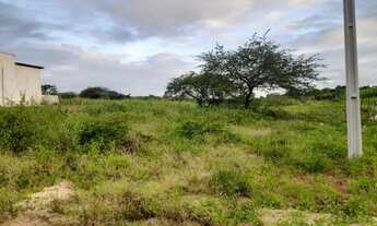 Imagem 2: De este terreno outoca en moto