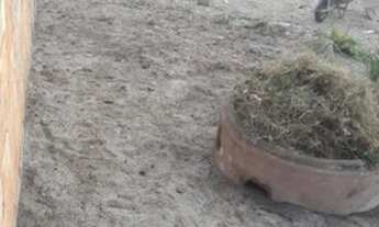 Imagem 4: Vendo ou troco Terreno no Lagomar