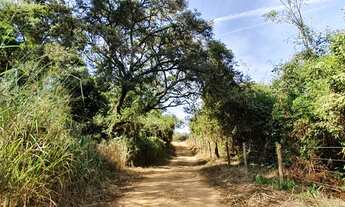 Imagem 7: Invista na sua Felicidade. Fazendinhas por 24.920 + Parcelas