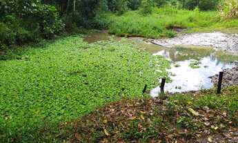 Imagem 7: V) Vendo Sítio em Mutuns - Itabuna -ba