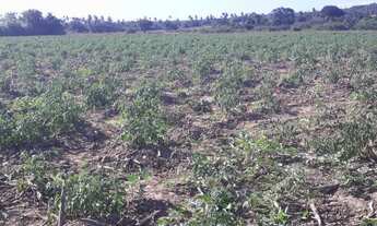 Imagem 3: Ótima Fazenda em monte alegre com 20 hectares com o rio Trairi