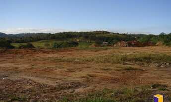 Imagem: ÁREA COMERCIAL APARECIDA - AR1332