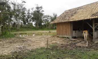 Imagem 5: Vendo sítio em Pirabeiraba