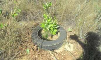 Imagem 6: Jaboticatubas - Sítio - Jaguara