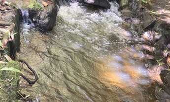 Imagem 4: Lote/Terreno para venda possui 600 metros quadrados com 1 quarto em Recanto das Águas - Ig