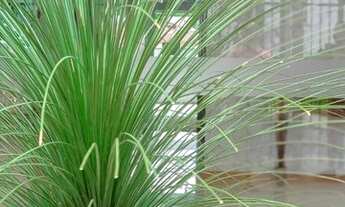 Imagem 4: Apartamento com 2 dormitórios para alugar, 73 m² por R$ 1.800,00/mês - Centro - Gravataí/R