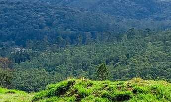 Imagem 2: Terreno de 600m² e 1000m²