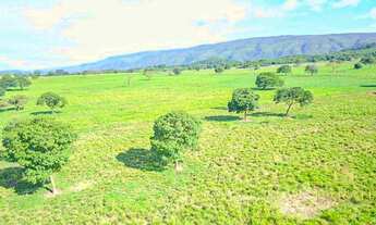 Imagem 2: Fazenda Padre Bernardo Goiás