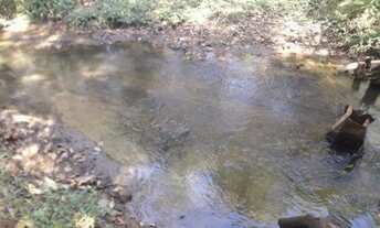 Imagem 2: Sitio Chácara com venda por R$150.000