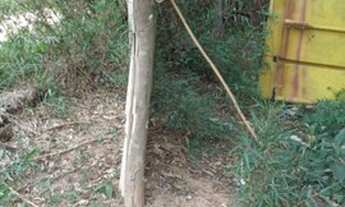 Imagem 6: Terreno Área 12.600m²