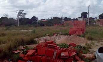 Imagem 3: Vendo um terreno de 2000 metros quadrados com 8 casas