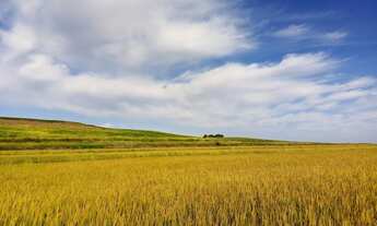 Imagem 2: Fazenda/Sítio/Chácara para venda possui 150000000 metros quadrados com 3 quartos