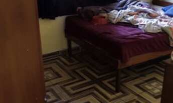 Imagem 5: Casa bairro vista alegre