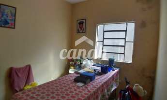 Imagem 6: Ribeirão Preto - Casa Padrão - Vila Mariana