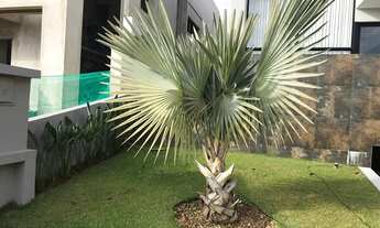 Imagem 4: Casa para aluguel possui 310 metros quadrados com 5 quartos em Alphaville - Santana de Par